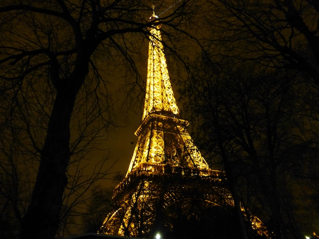 author, RoseMary Griffith in Paris