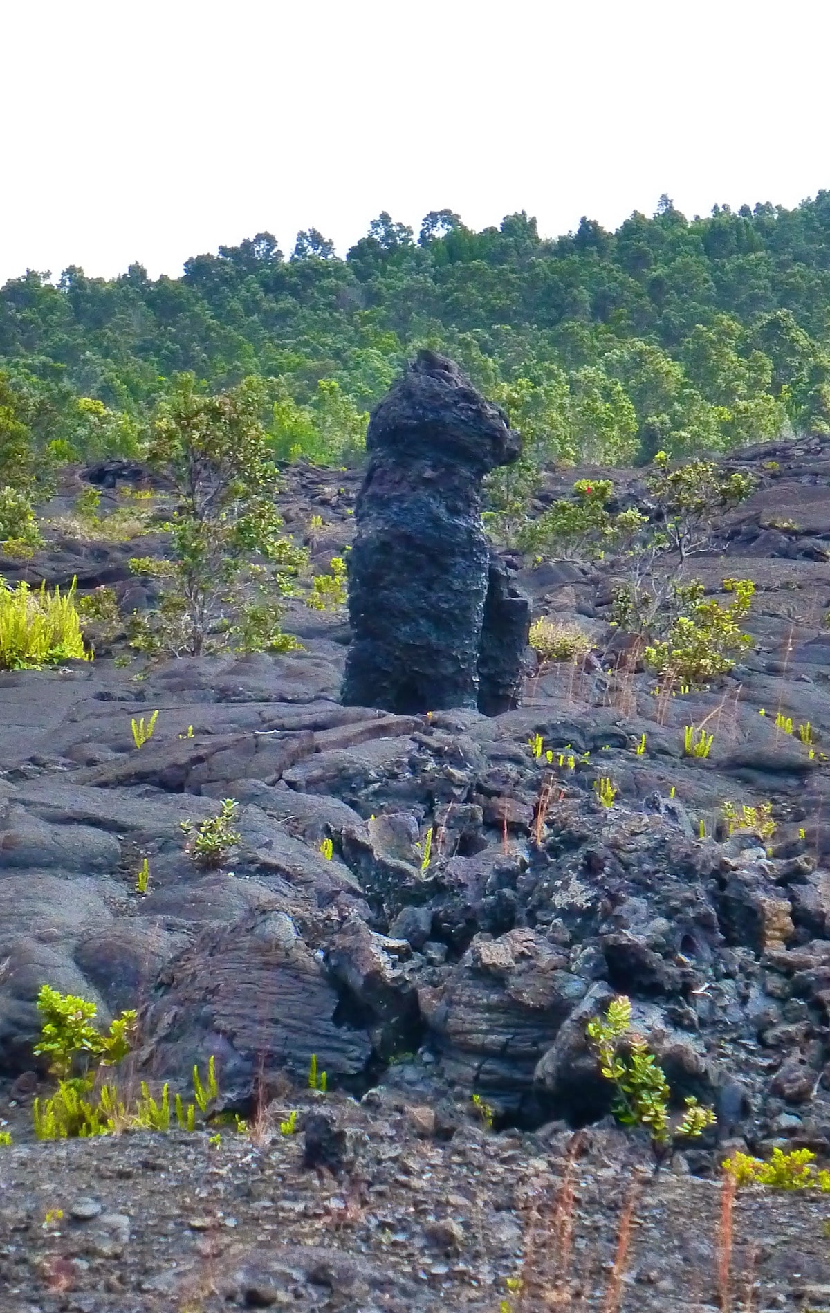 Hawaiian lava shaped like a rock