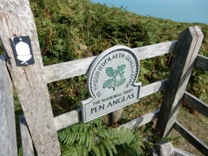 Pembrokeshire Path, gate, acorn