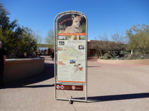Arizona Sonora Desert Museum