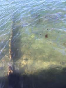 Arizona, still leaking oil, Pearl Harbor