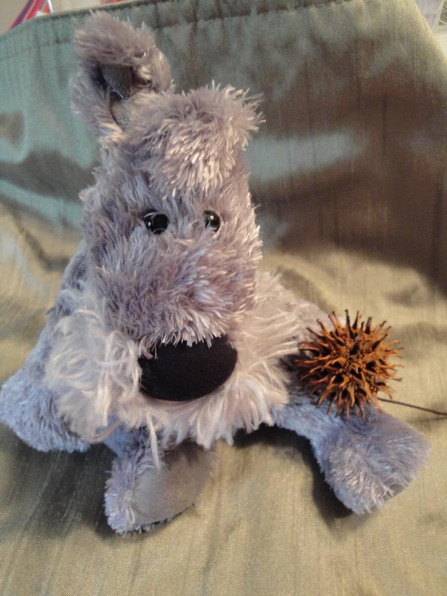 Burt Illustrating sweet gum pods