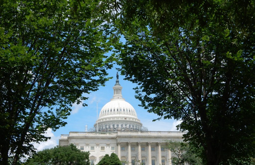 Dome on Capitol Building