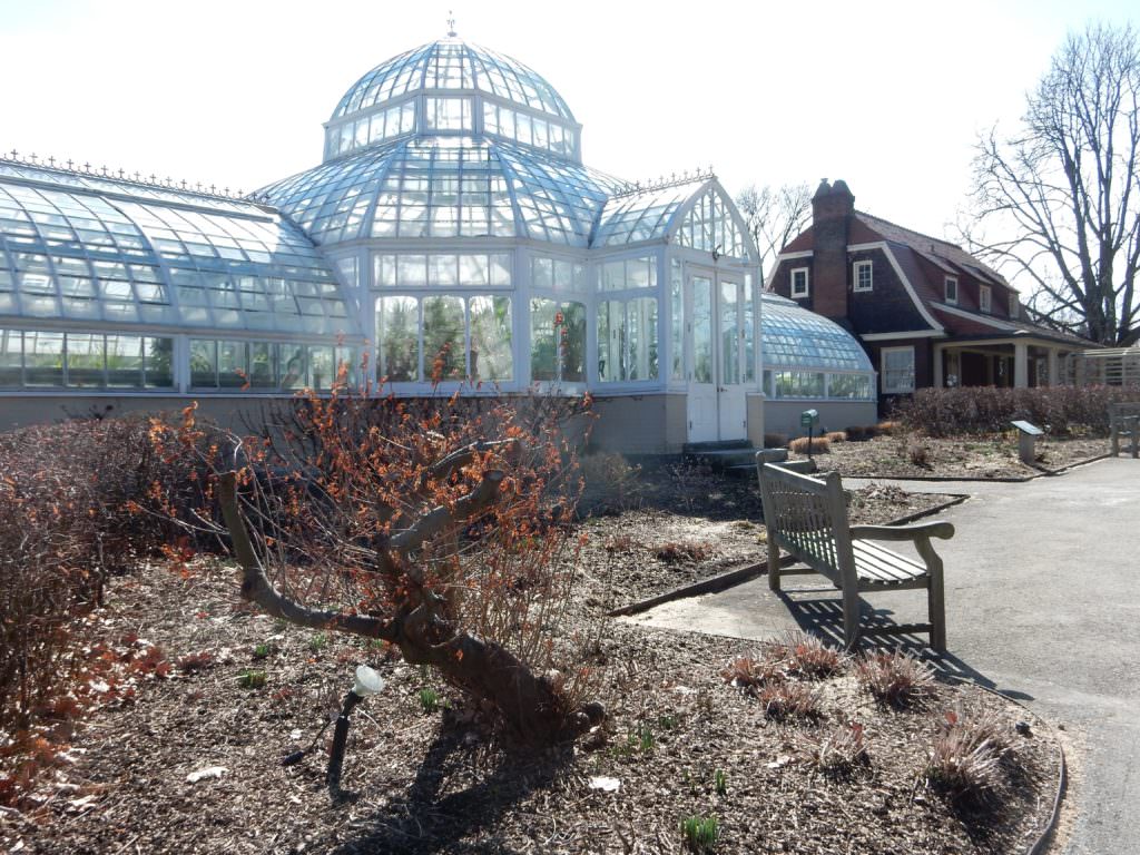 The Conservatory