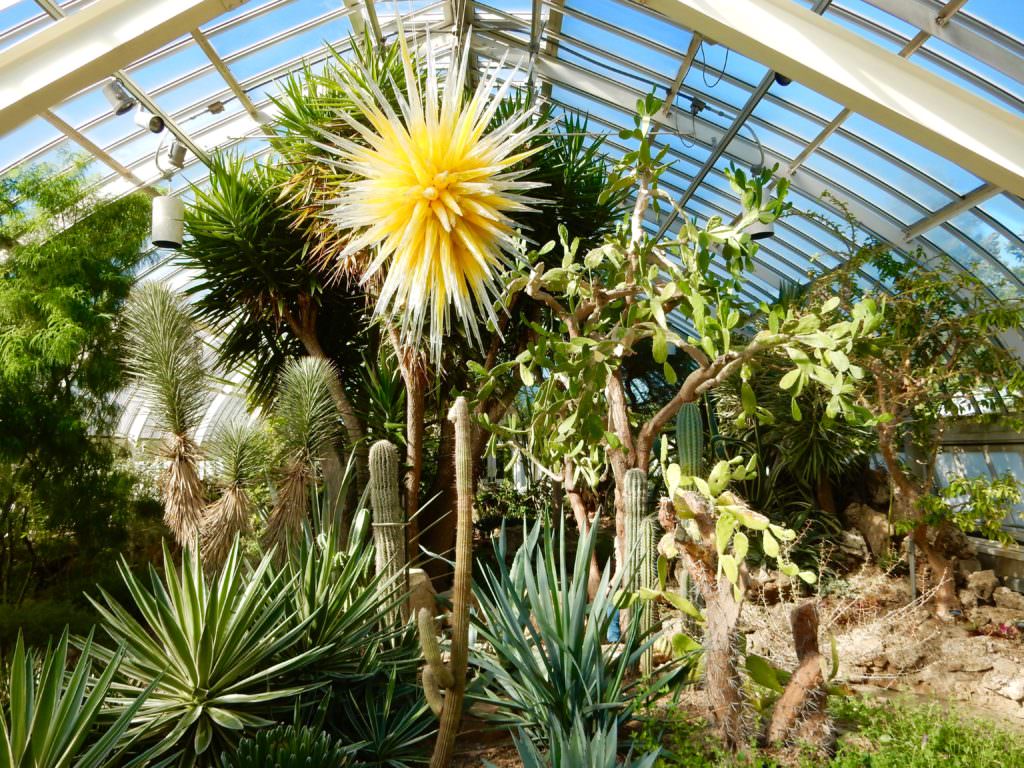 Chihuly in the Desert Room, Phipps Conservatory