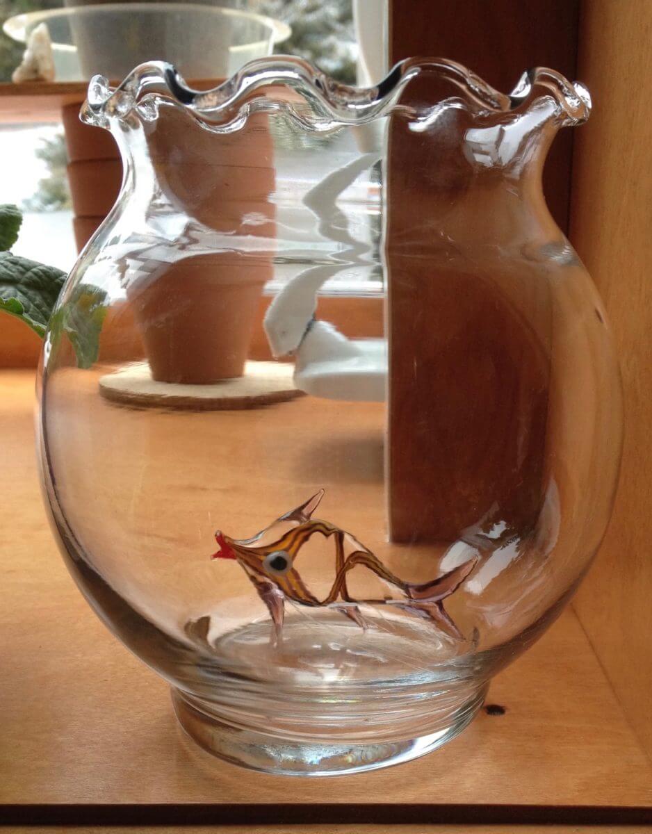 glass fish in glass jar