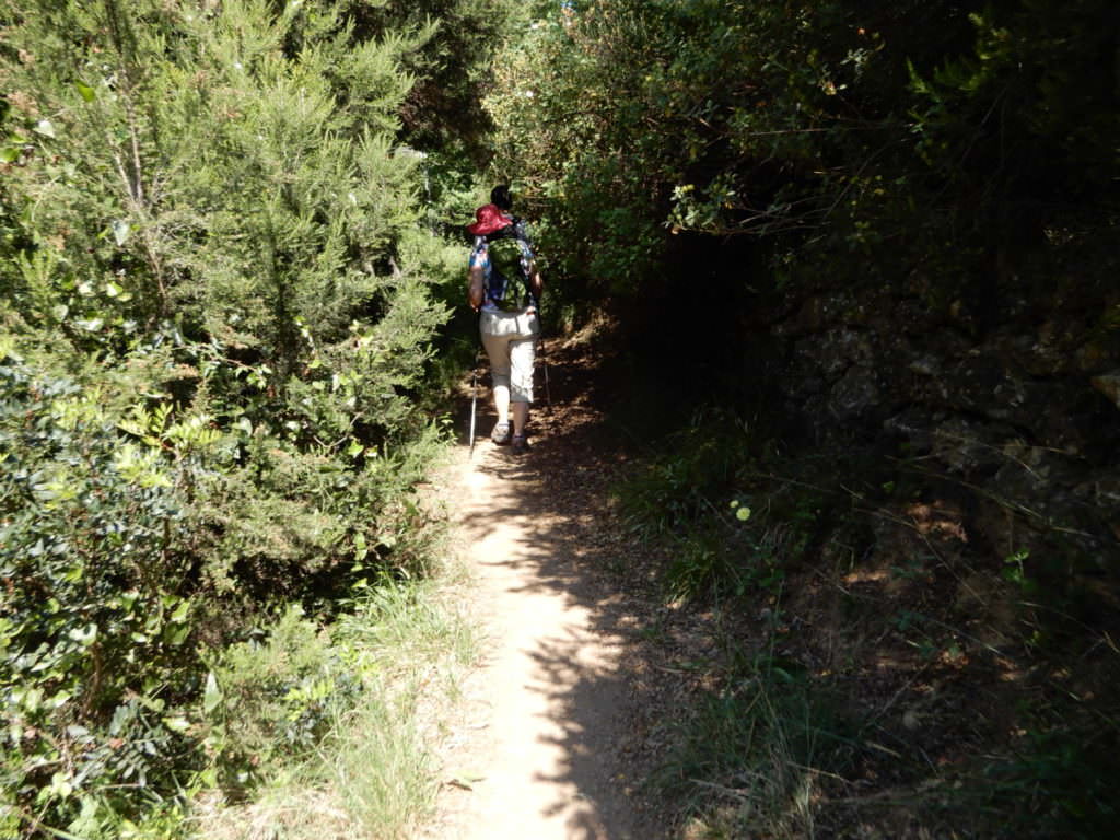 Last sighting of the pink OR hat, in Italy