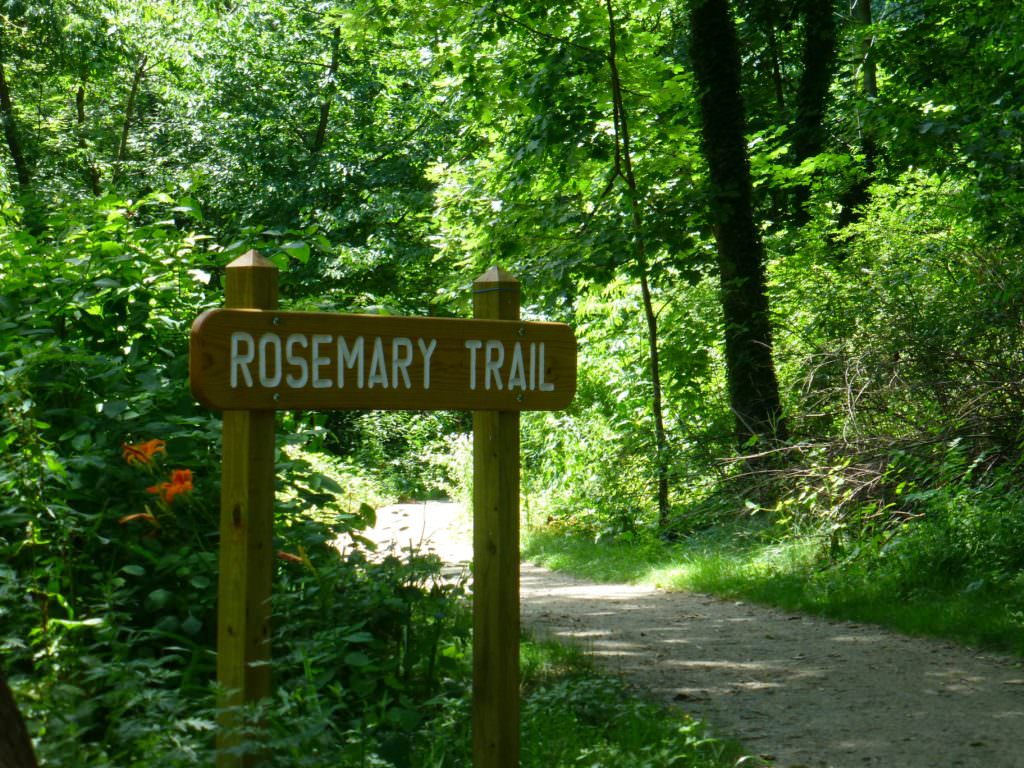My Namesake Trail in Frick Park
