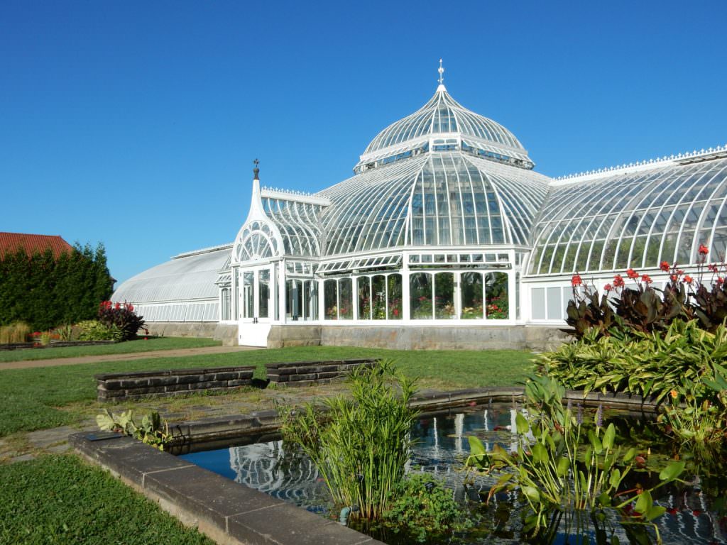Part of Phipps Conservatory aquatic gardens