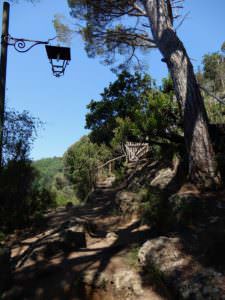 Portofino - San Fruttuoso, good place for lunch break, Italy