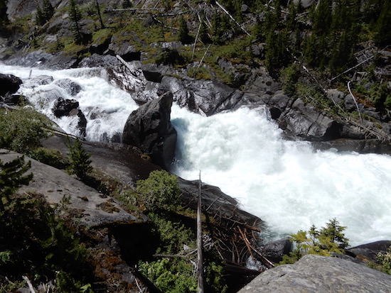 rapids in Montana's East Rosebud