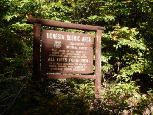 Tionesta Scenic Area