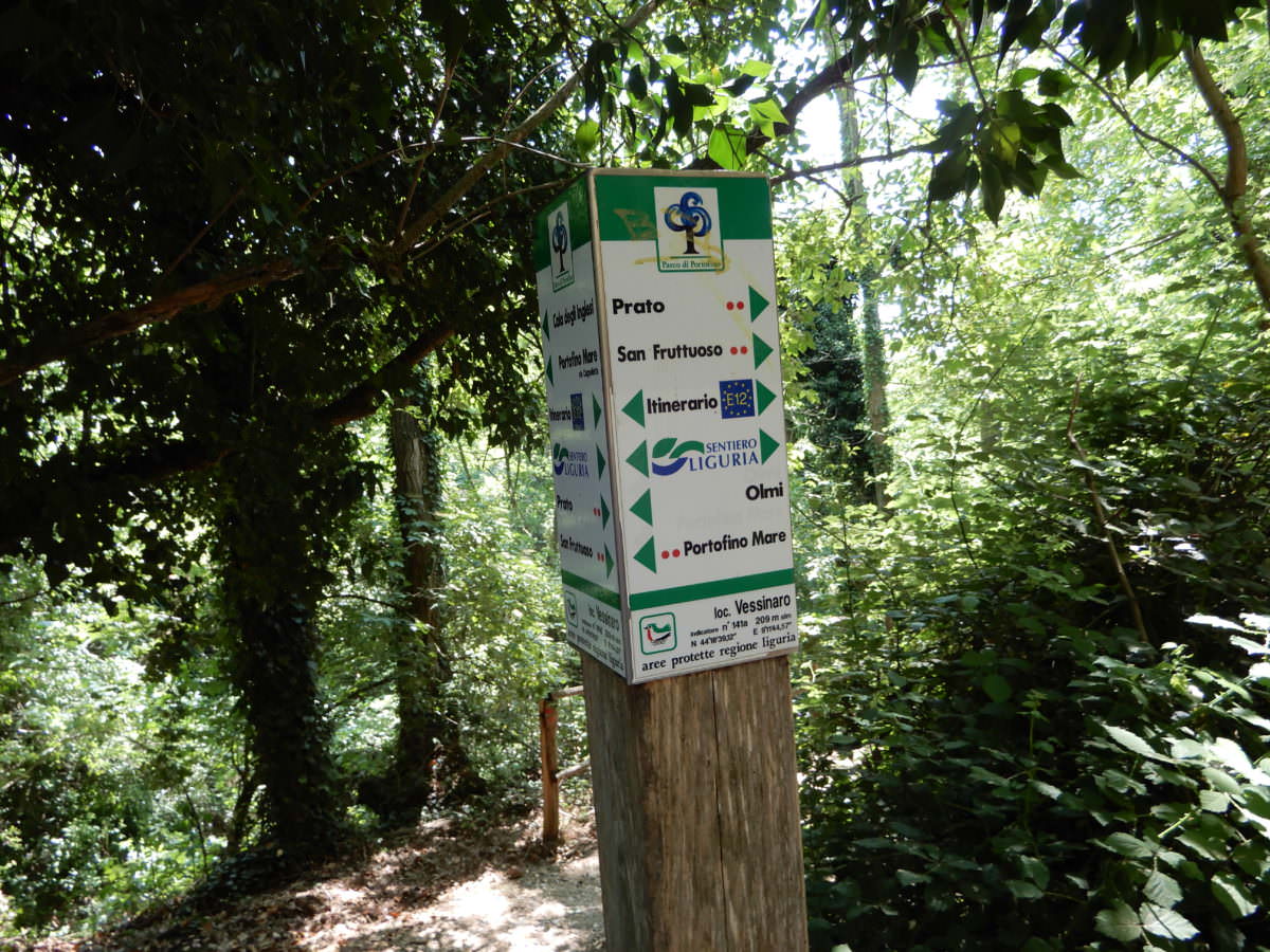 Trail San Fruttuoso to Portofino, Italy