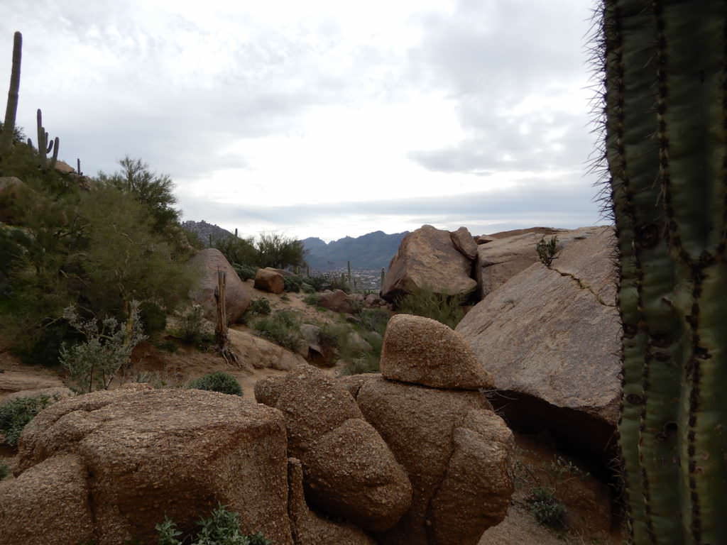 Rocks and cactus on the Arizona landscape