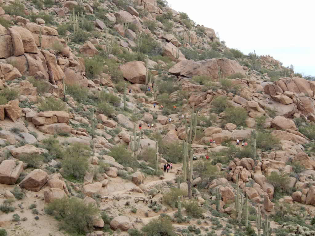 Lovely desert, Arizona