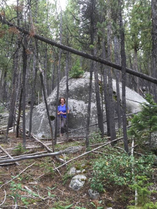 Lower side of same boulder, Silver Run and Ingles Creek, Red Lodge, MT