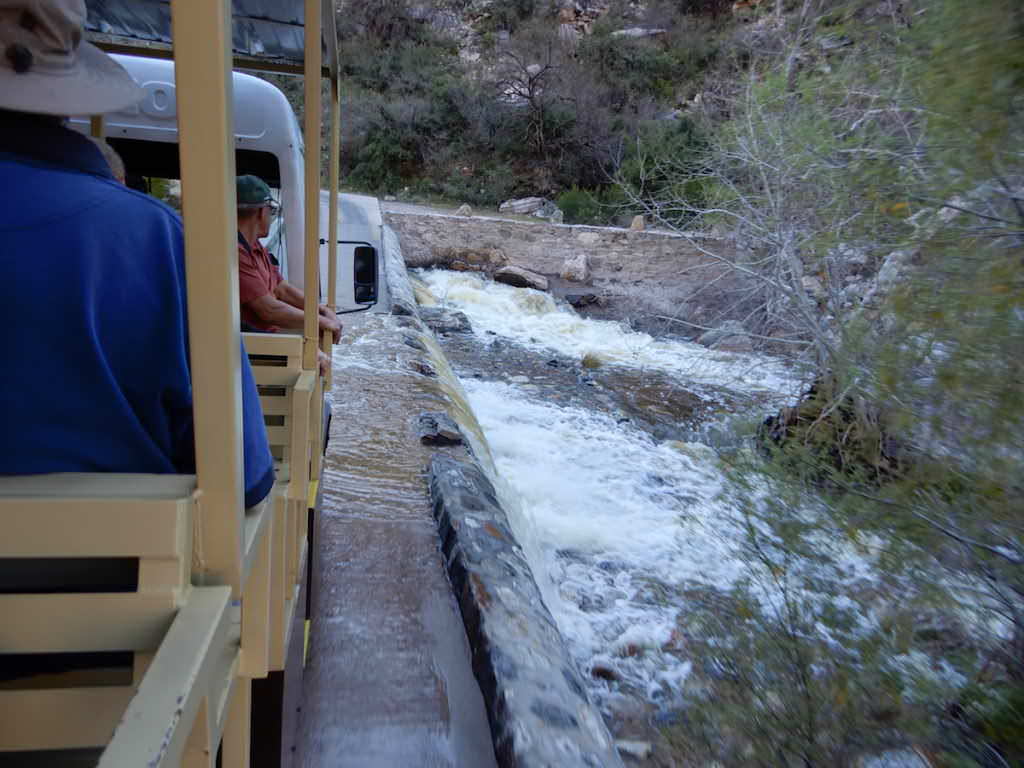 One of the flooded creek