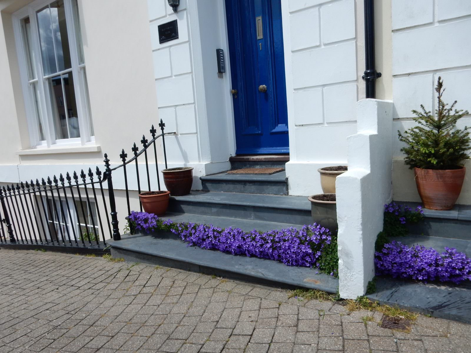 Purple flowers on Steps