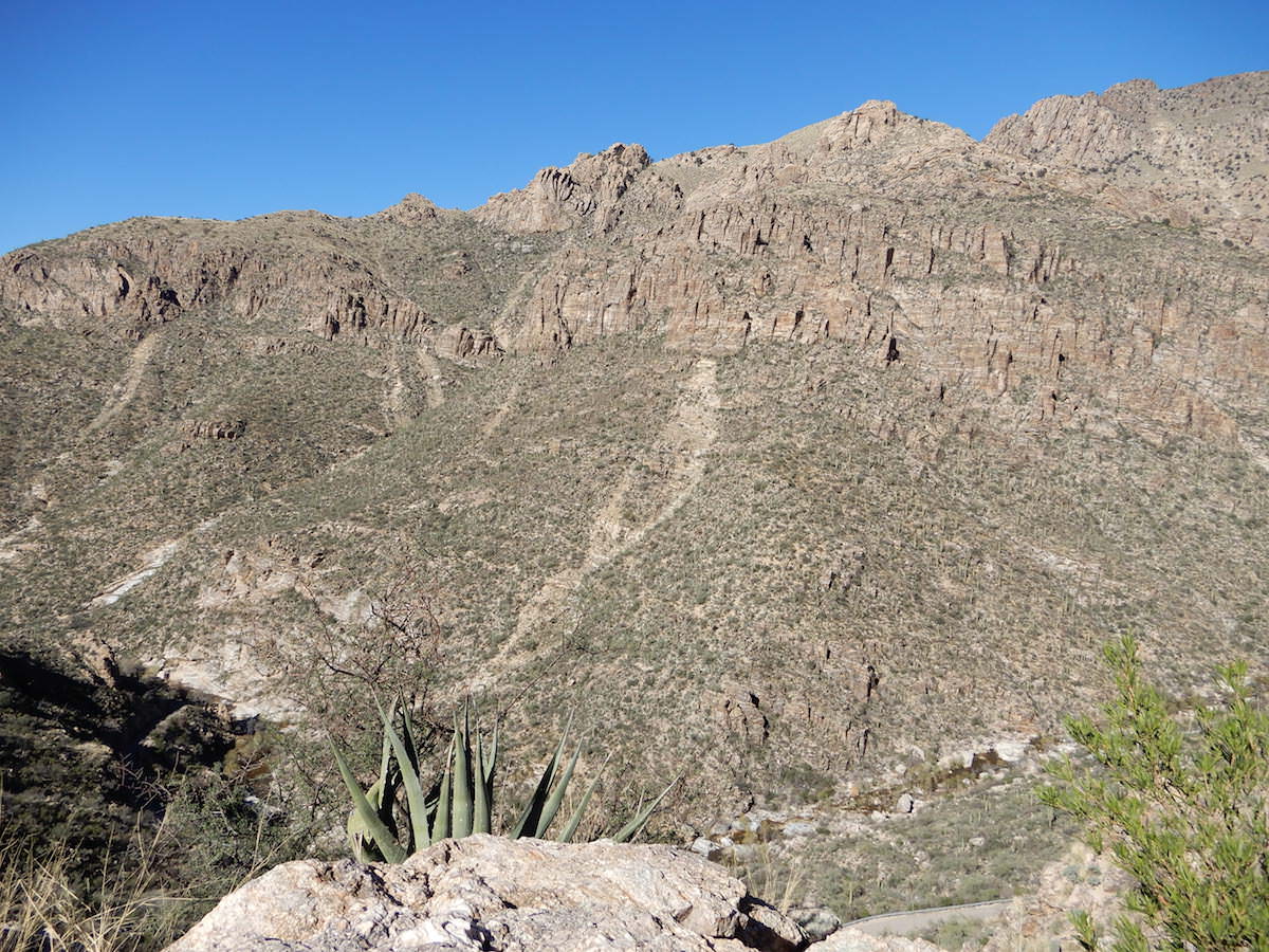 Rock avalanches caused these runs, Sabino Canyon, Arizona