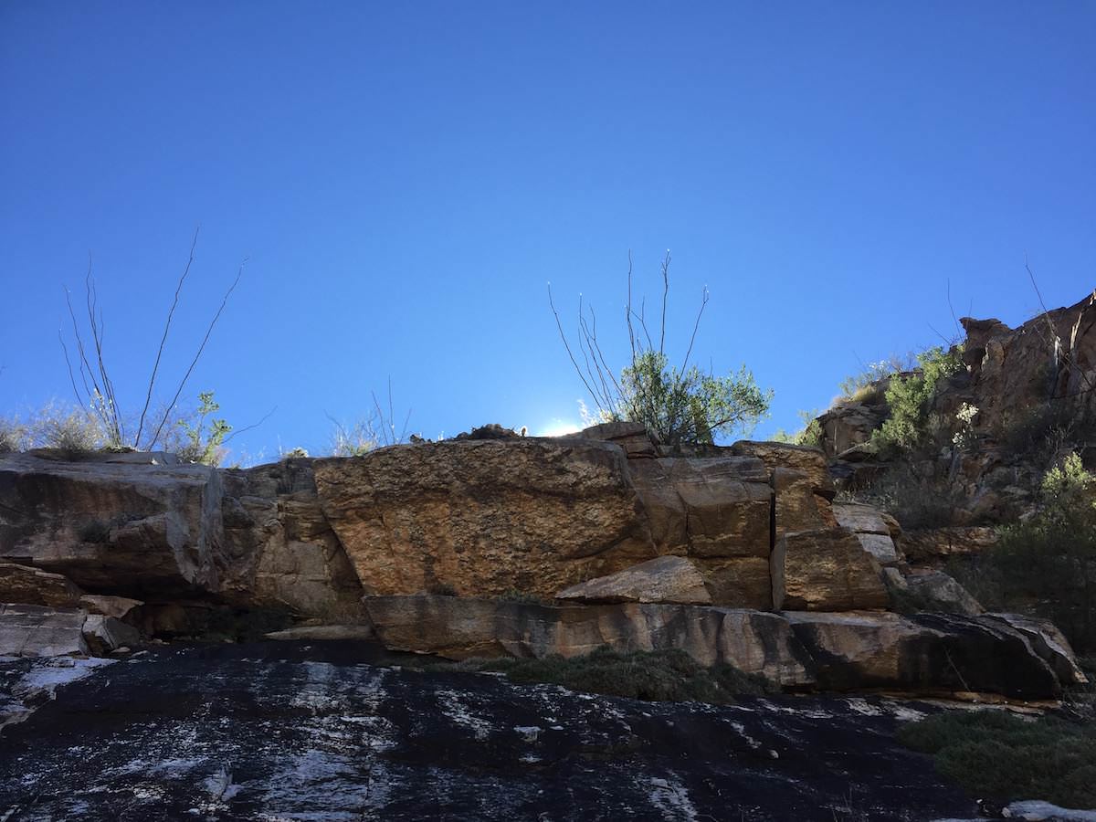 Sabino Canyon Beauty