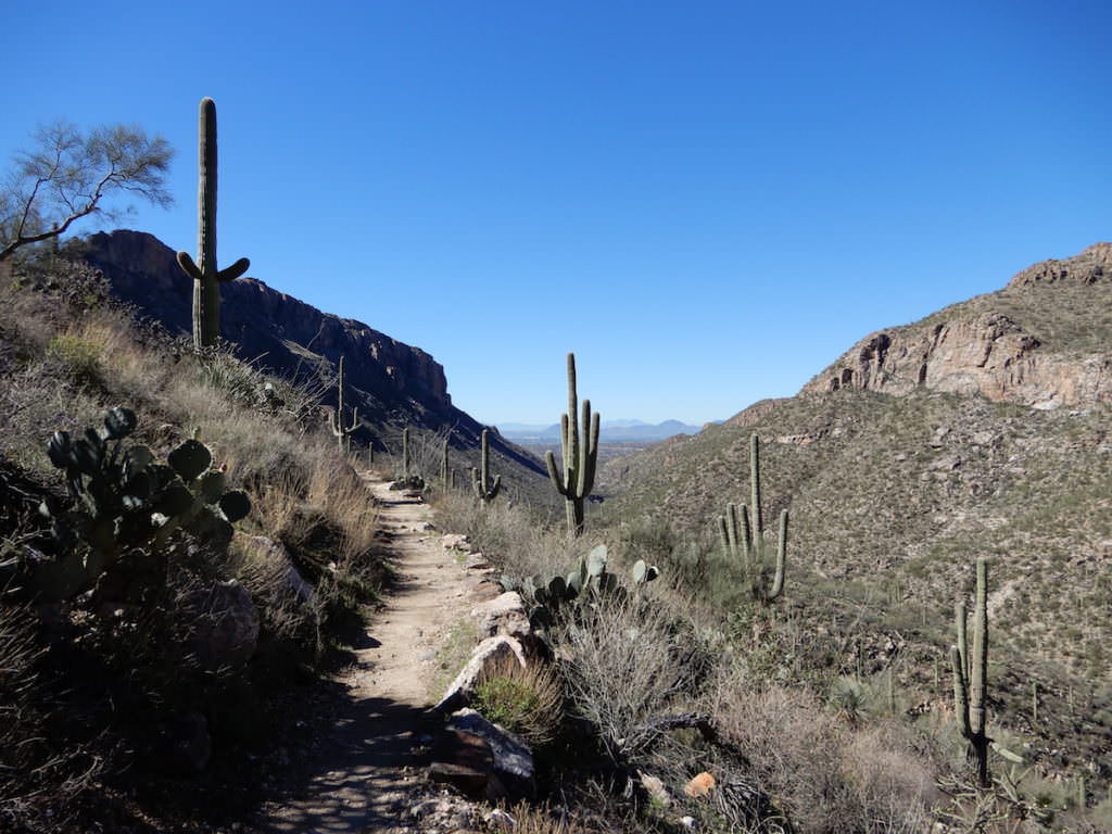 Sabino Canyon trail